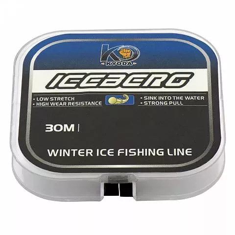 Iceberg